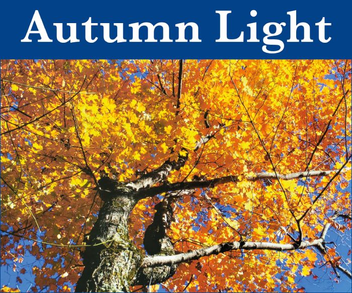 Autumn Light